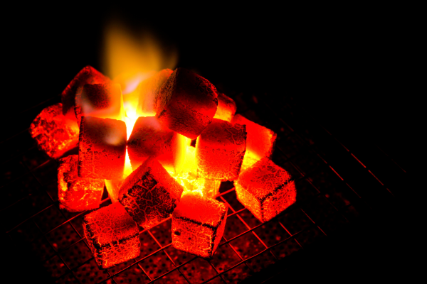 isgcharcoal (1) isgcharcoal (1)